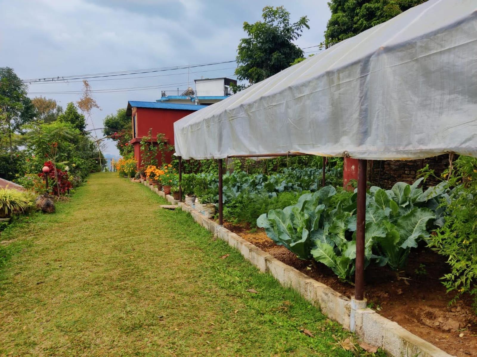 Himalaya Serene View Guest House & Farm Stay Deorāli Exterior foto