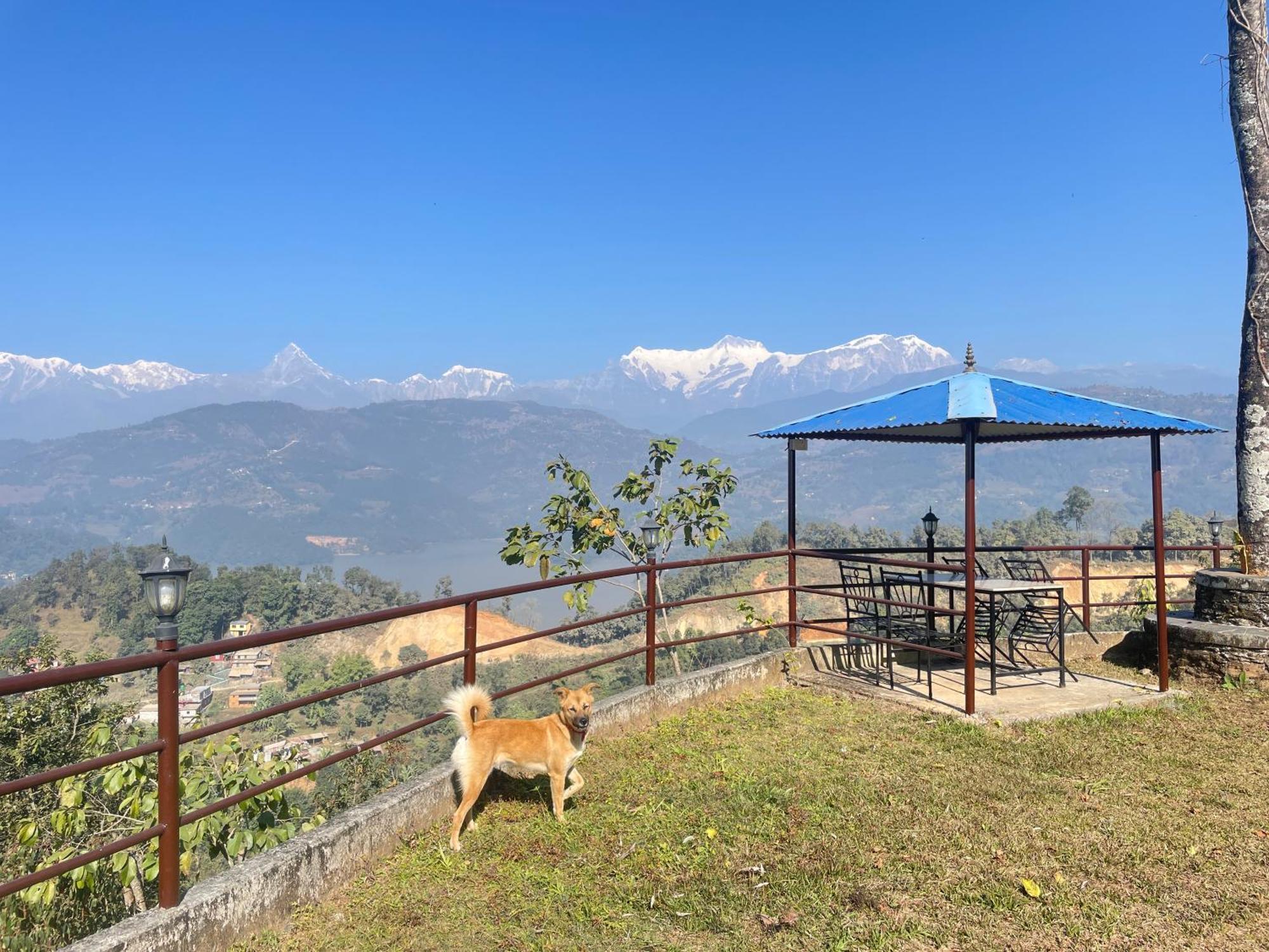 Himalaya Serene View Guest House & Farm Stay Deorāli Exterior foto